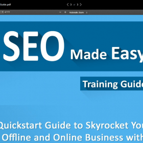 Download SEO Business In a Box PLR