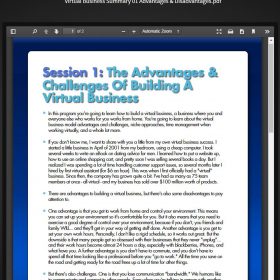 Download How to Build a Successful Virtual Company (Requested)