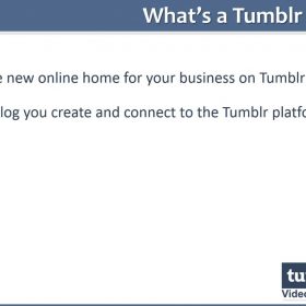 Download Tumblr Business In a Box PLR