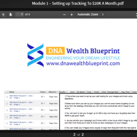 Download Andrew Fox & Peter Parks - DNA Wealth Blueprint