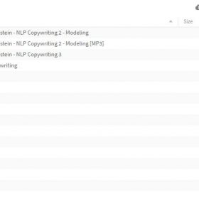Download Harlan Kilstein - NLP Copywriting (1-3)
