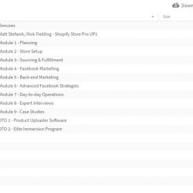 Download Matt Stefanik, Nick Fielding - Shopify Store Pro