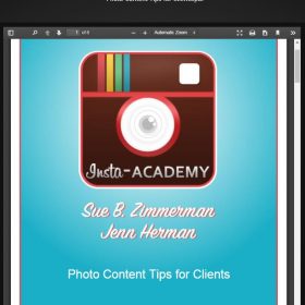Download Sue B. Zimmerman & Jenn Herman - Insta Academy