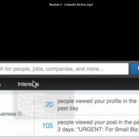 Download John Nemo - LinkedIn Riches