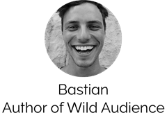 Download Bastian Ernst - Funnel Bots Pro