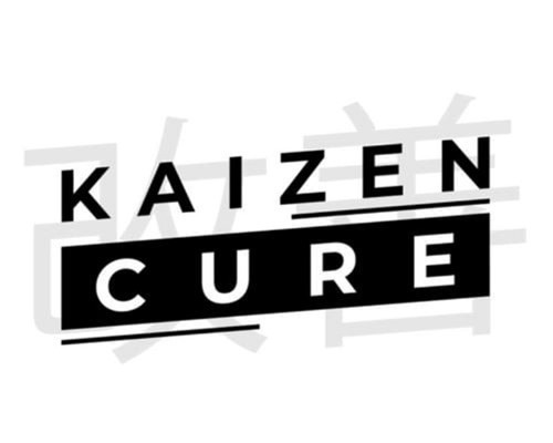 Iman Gadzhi – Kaizen Cure