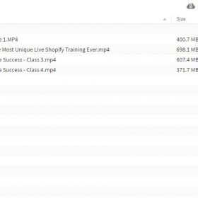 Download Justin Cener - Shopify Live Success Training