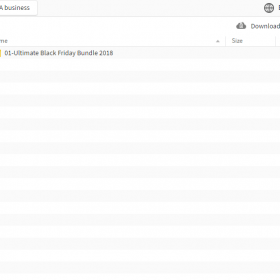 Download Ryan Levesque - Ultimate Black Friday Bundle